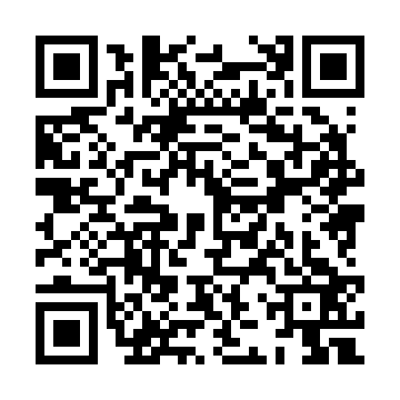 QR code for XJX2238