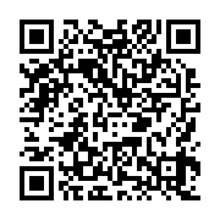 QR code for XJX239