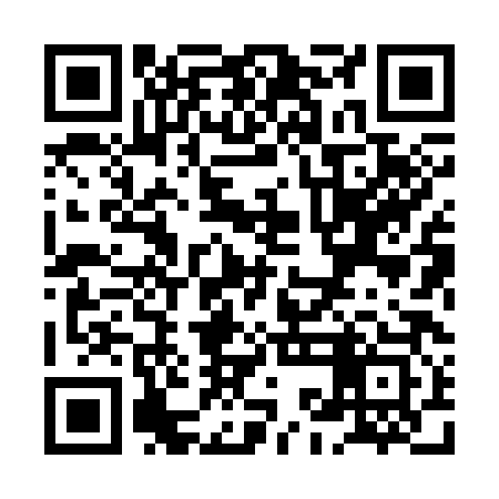 QR code for XKH383