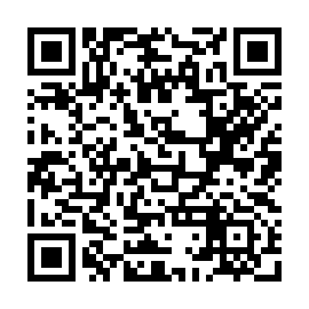 QR code for XLK393
