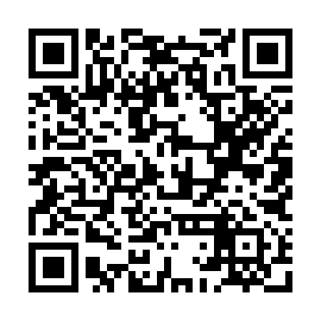QR code for XLM391