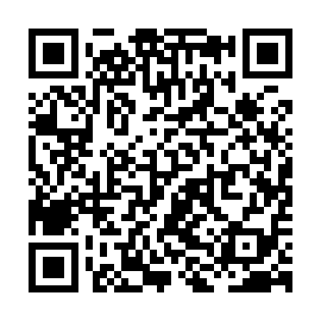 QR code for XLQ919
