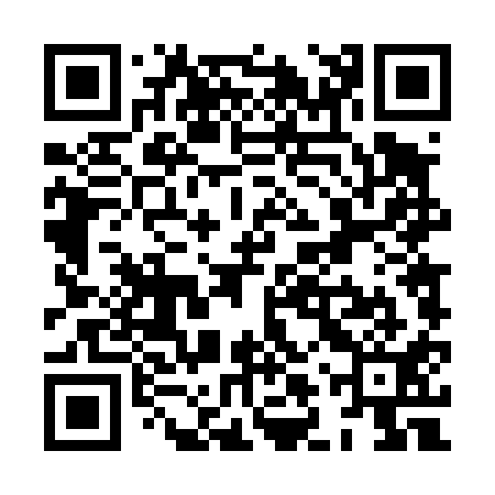 QR code for XLT411