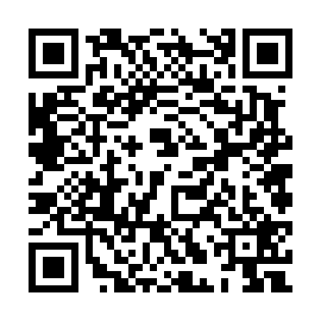 QR code for XLV4295