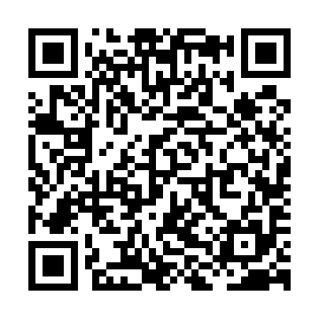 QR code for XLV595