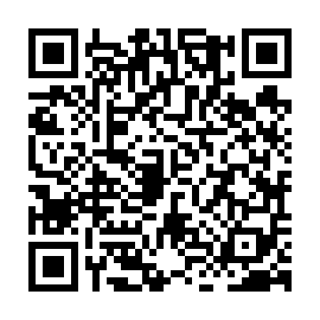 QR code for XLZ6594