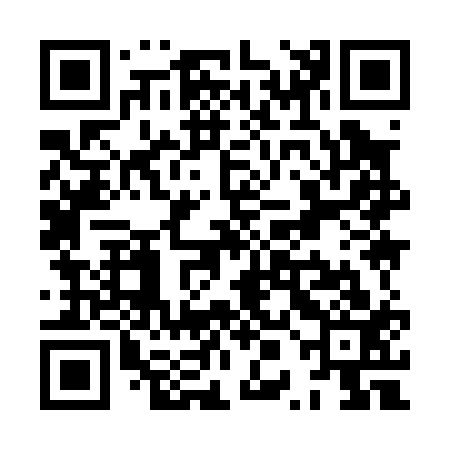 QR code for XPI013