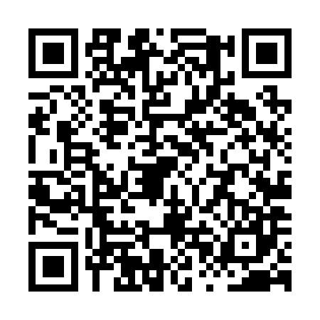 QR code for XPL2876