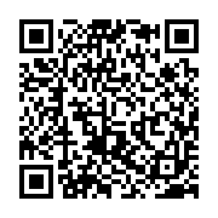 QR code for XPU393