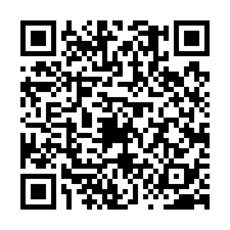 QR code for XQD7384