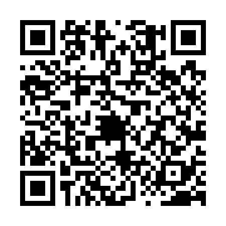 QR code for XQL7384
