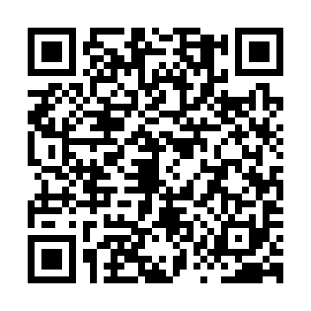 QR code for XQU3919