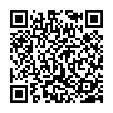 QR code for XTM029