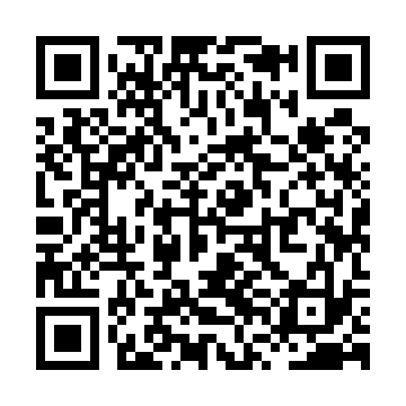 QR code for XVI533