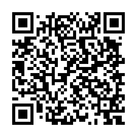 QR code for XVZ491