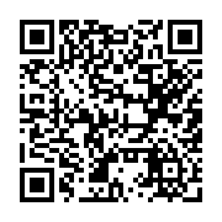 QR code for XYU335