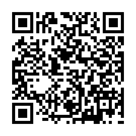 QR code for XZI2931