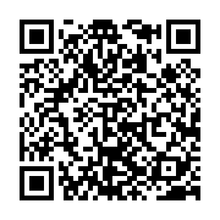 QR code for XZT029