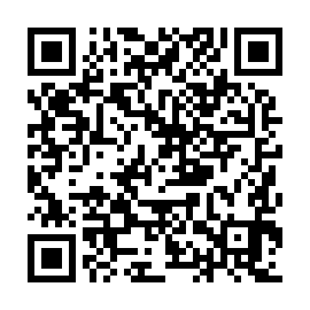 QR code for YAP991