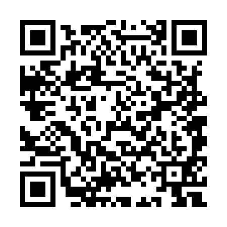 QR code for YAV9919