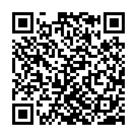 QR code for YBD271