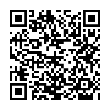 QR code for YDL6596