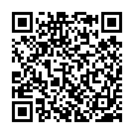 QR code for YEC613