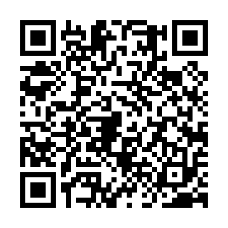 QR code for YFD0137