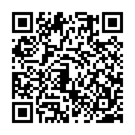 QR code for YFD0161