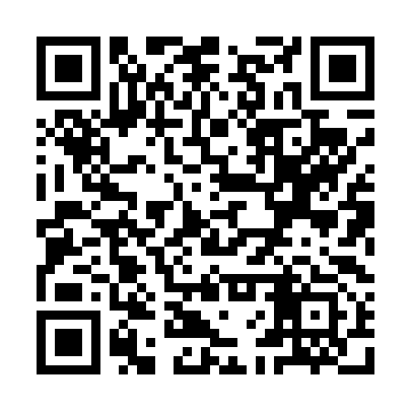 QR code for YFX493