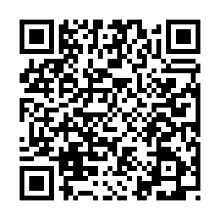 QR code for YIZ0950