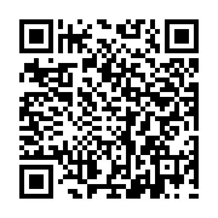 QR code for YJD2641