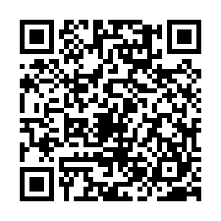 QR code for YJJ0641