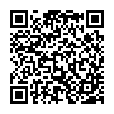 QR code for YKG383