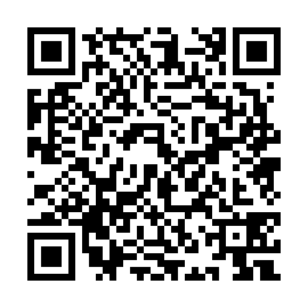 QR code for YNP6384