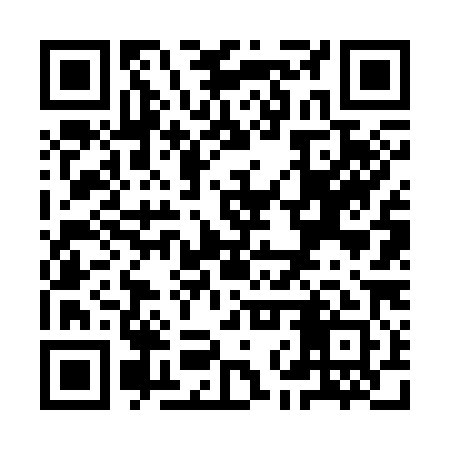 QR code for YNV381