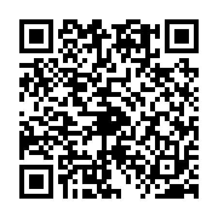 QR code for YPE2133