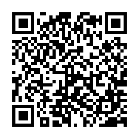 QR code for YPL286