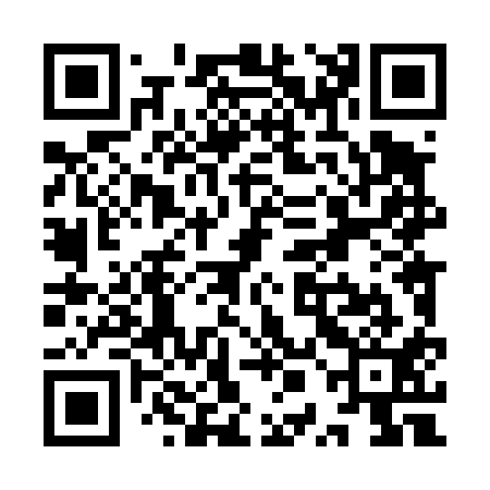 QR code for YPL411