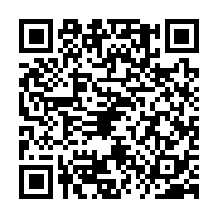 QR code for YPQ3381