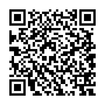 QR code for YPV4198