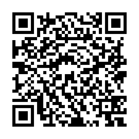 QR code for YPY9398