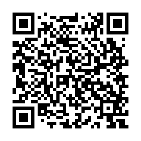 QR code for YSZ383