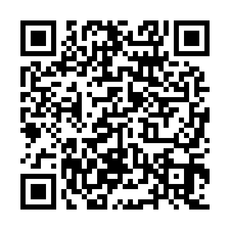 QR code for YTZ9111