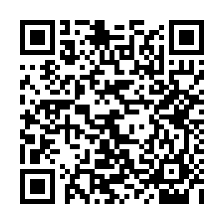QR code for YVG2463