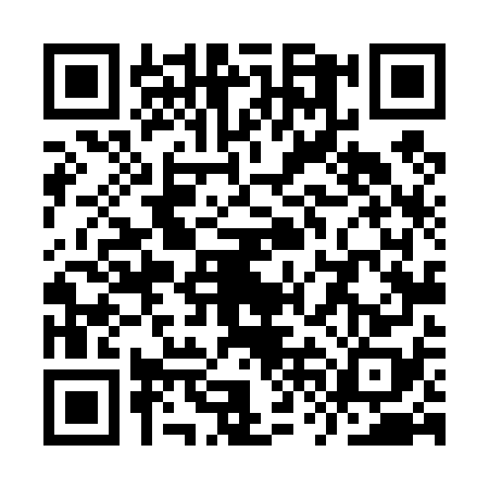 QR code for YVL4786