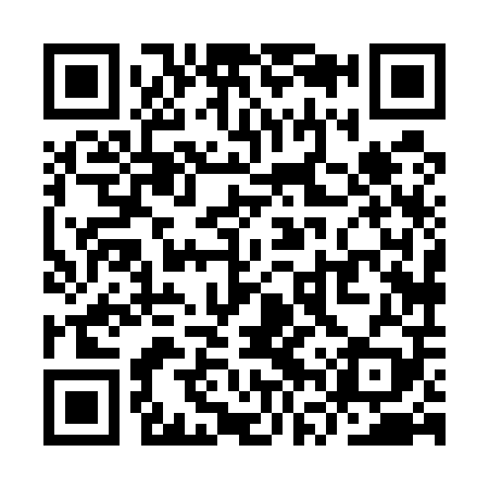 QR code for YVX509