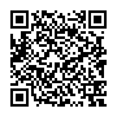 QR code for YXL0390