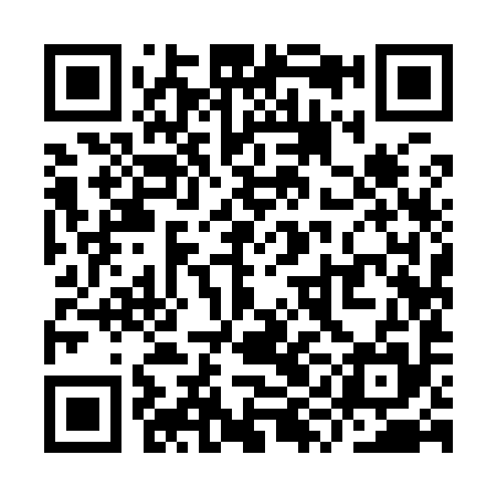 QR code for YYI995