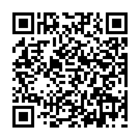 QR code for YYJ3691